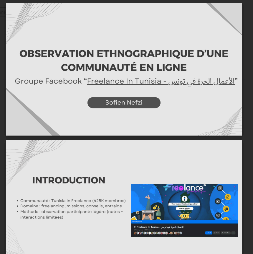 Ethnographic Study — Freelance in Tunisia